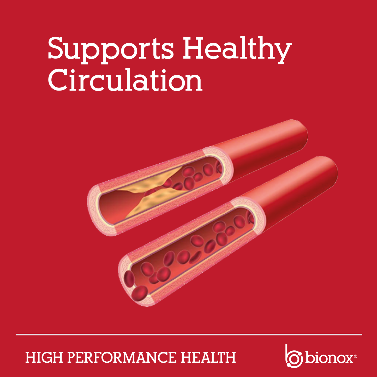 CardioGO - 30 Scoop - Berry