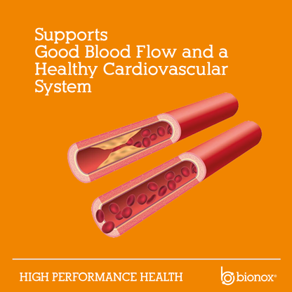 CardioGO - 30 Scoop - Citrus
